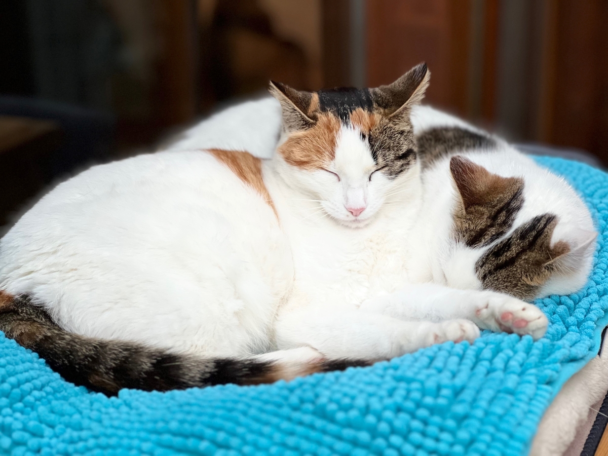 Leny und Charly