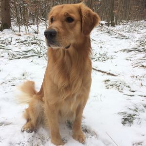 c307d75e adb3 42be 93ed 0c36f18f9b44