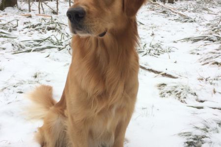 c307d75e adb3 42be 93ed 0c36f18f9b44