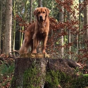 Arrow (m) am 19.11.2017