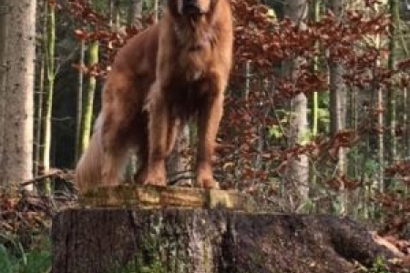 Arrow (m) am 19.11.2017