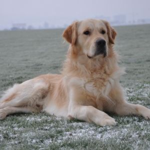 Chill&nbsp;(m) am 20.01.2019