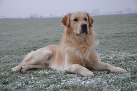 Chill&nbsp;(m) am 20.01.2019