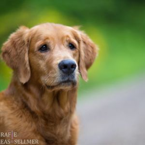 Aileen am 21.05.2019