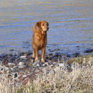 Aileen am 16.03.2019