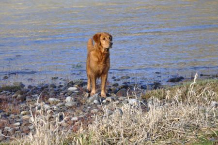 Aileen am 16.03.2019