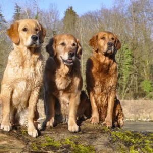 Fly, Amira und Aileen am 16.03.2019