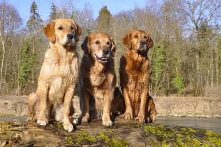 Fly, Amira und Aileen am 16.03.2019