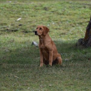Steadiness muss ge&uuml;bt sein (Bivio am 23.09.2020)