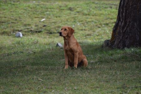 Steadiness muss ge&uuml;bt sein (Bivio am 23.09.2020)