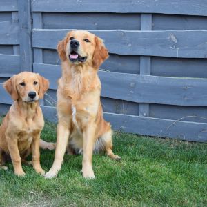 Hope und Marley