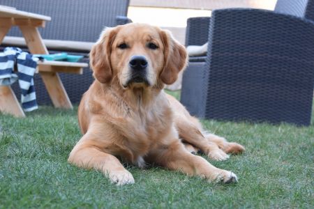 Marley in Wolken (D) am 11.09.2020