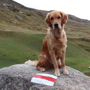 Berg-Geissli Fly am 24.09.2020