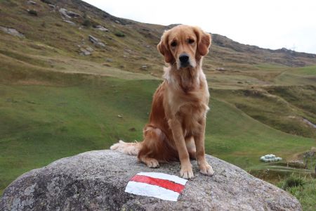 Berg-Geissli Fly am 24.09.2020