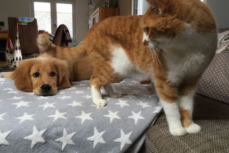 Marley (Gadi, m) am 24.02.2020