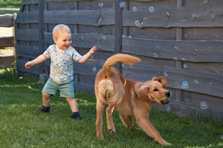 Marley (Gadi, m) am 12.04.2020